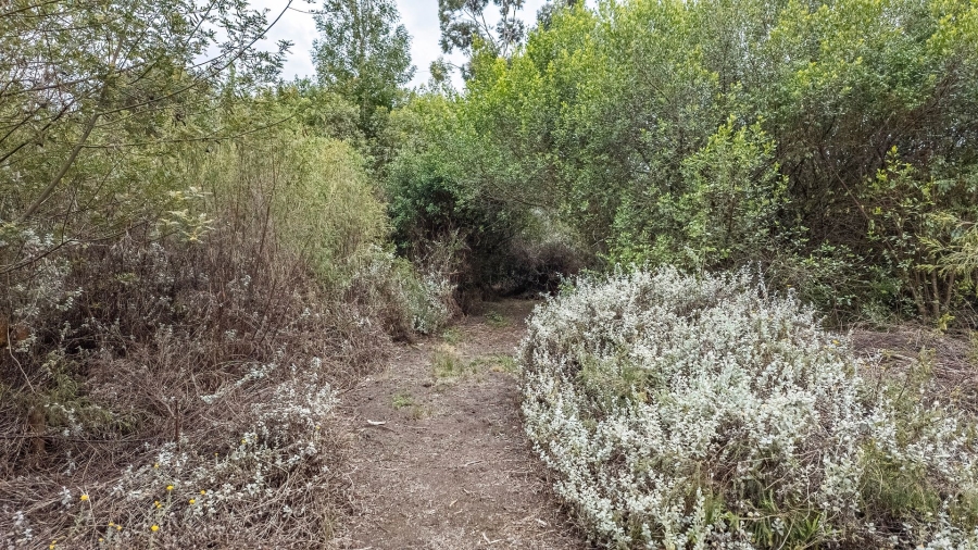 Commercial Property for Sale in Sedgefield Rural Western Cape